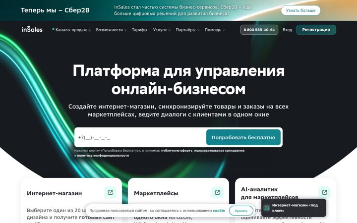 Screenshot stránky insales.ru
