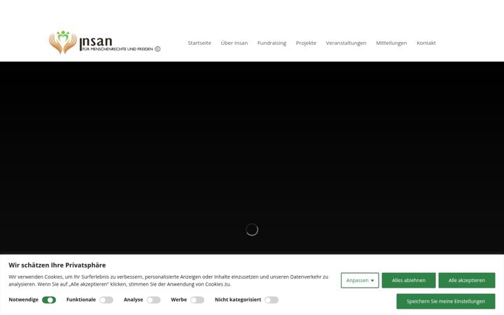Screenshot of insan-org.de