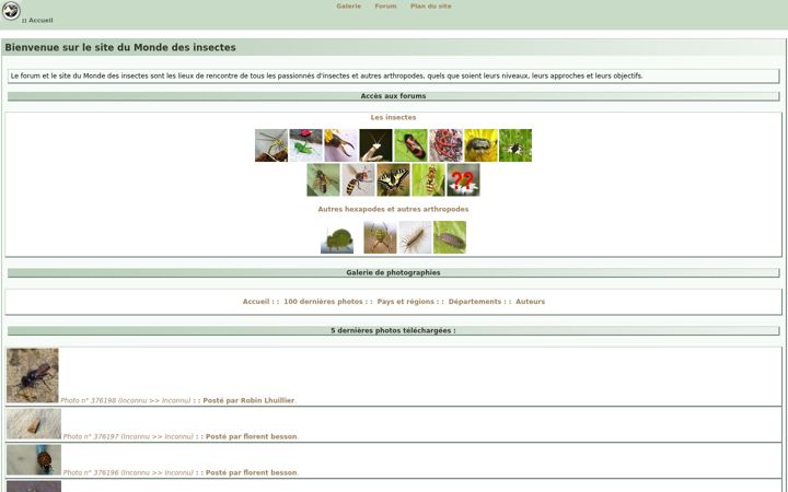 Screenshot of insecte.org