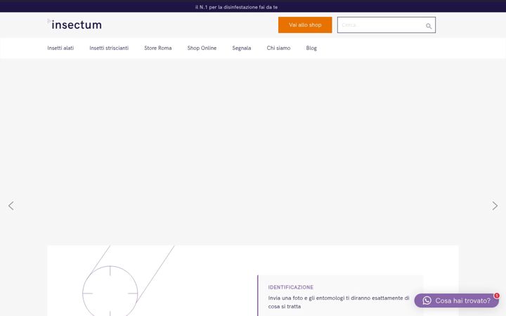 Screenshot of insectum.it