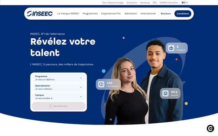 Screenshot von inseec.com