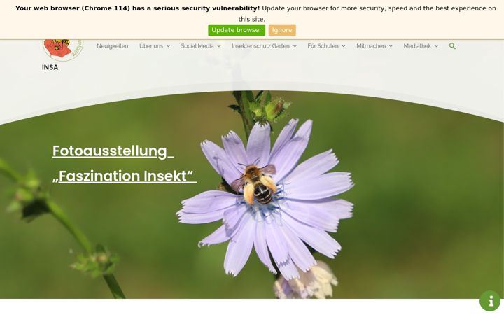 Screenshot of insektenschutzakademie.de