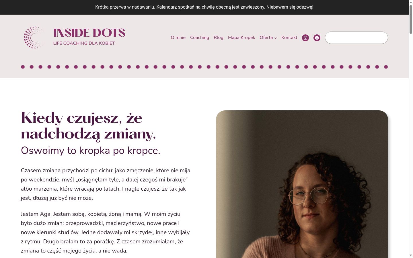 Captura de ecrã do banner de consentimento apresentado antes de qualquer interação