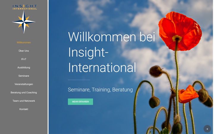 Screenshot of insight-international.de