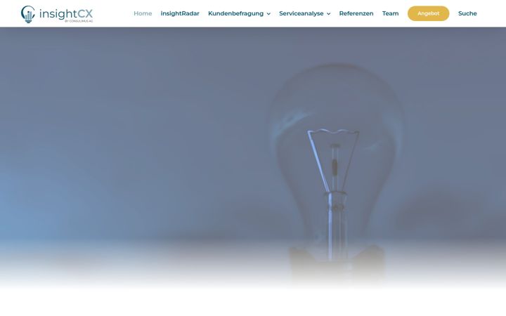 Screenshot of insightcx.de