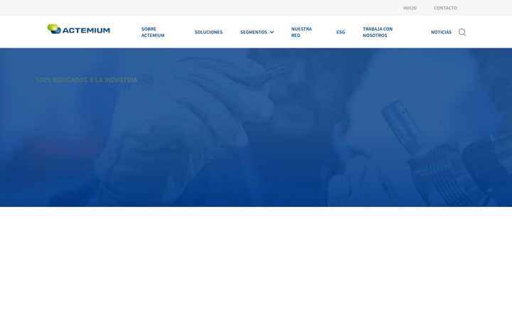 Screenshot of insitelsa.es