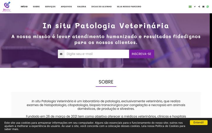 Screenshot of insitupatovet.com