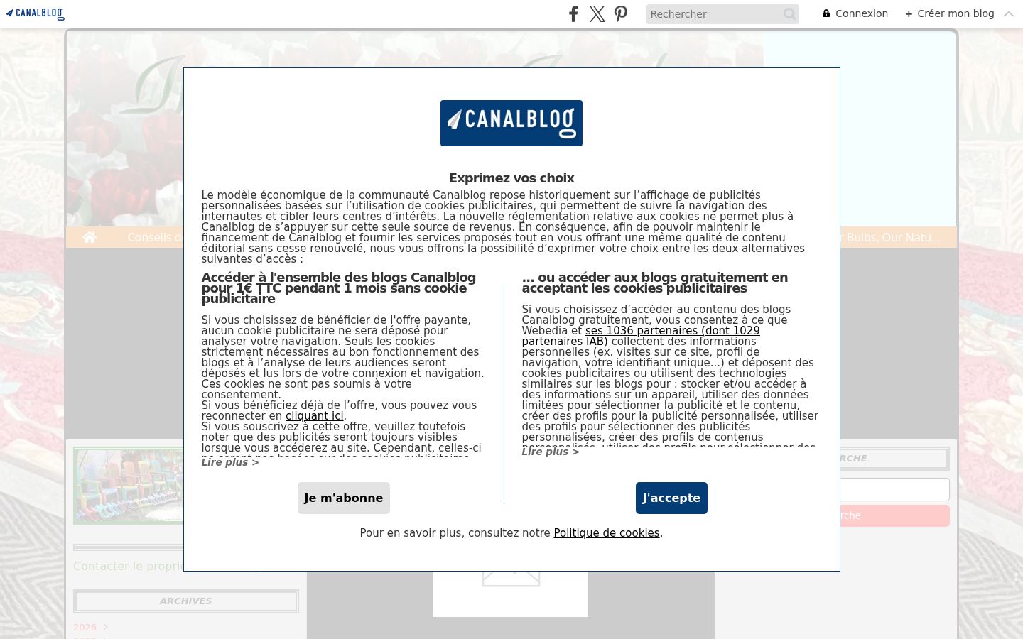 Capture d'écran de la bannière de consentement affichée avant toute interaction