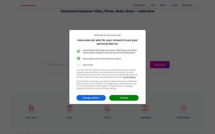 Screenshot of insta-save.net
