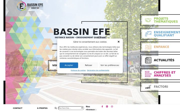 Screenshot of instancebassin-hainautsud.com