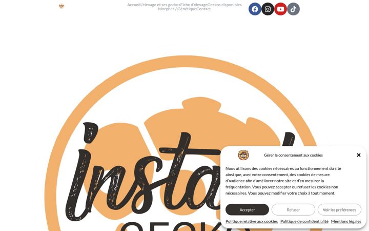 Screenshot of instant-gecko.com
