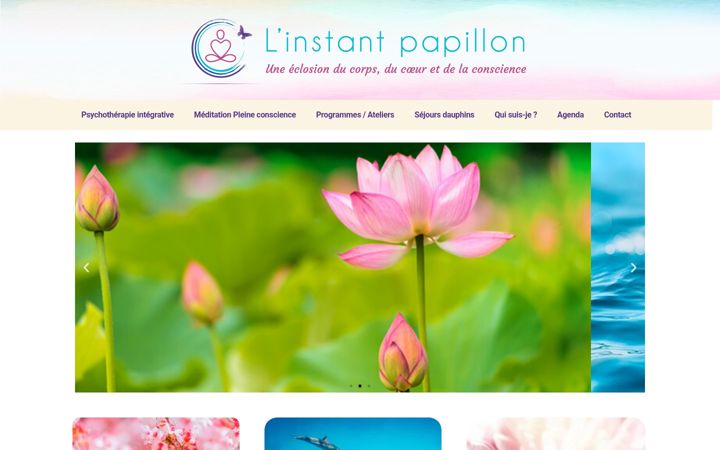 Screenshot of instantpapillon.fr
