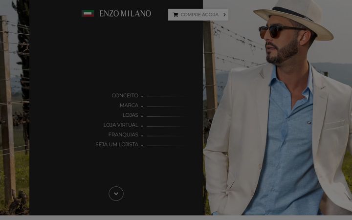 Screenshot of institucionalenzomilano.com.br