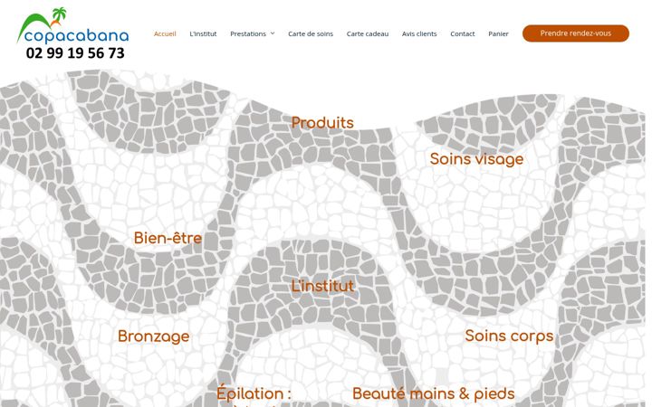 Screenshot of institut-copacabana.com
