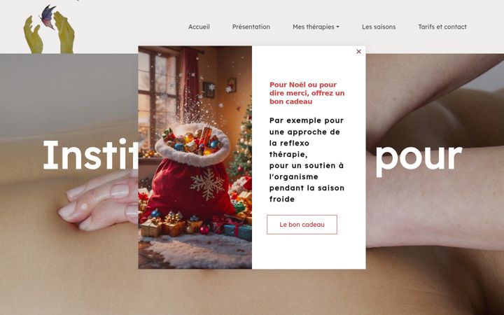 Screenshot of institut-linstantpoursoi.ch