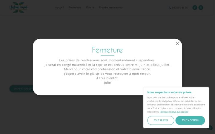 Screenshot of institut-linstantpresent.be