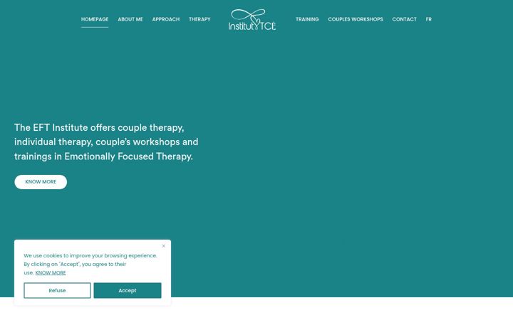 Screenshot of institut-tce.com