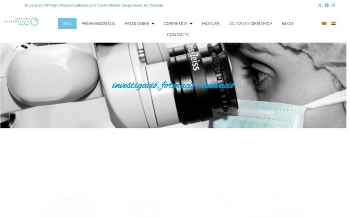 Screenshot of institutbadal.com