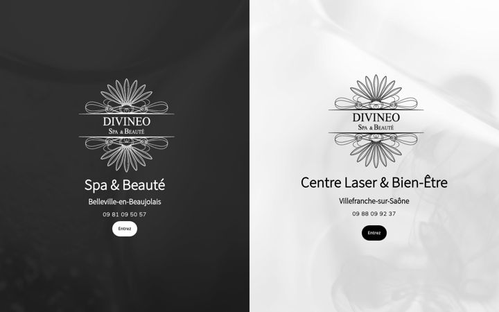 Screenshot of institutdivineo.fr