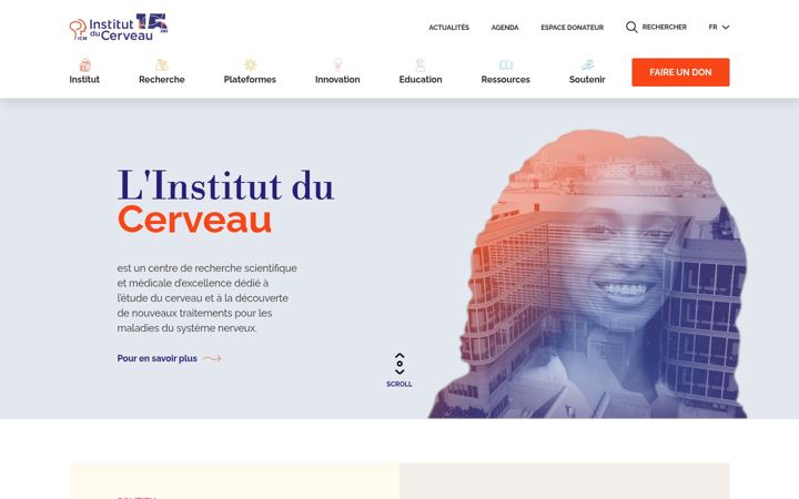 Screenshot von institutducerveau.org