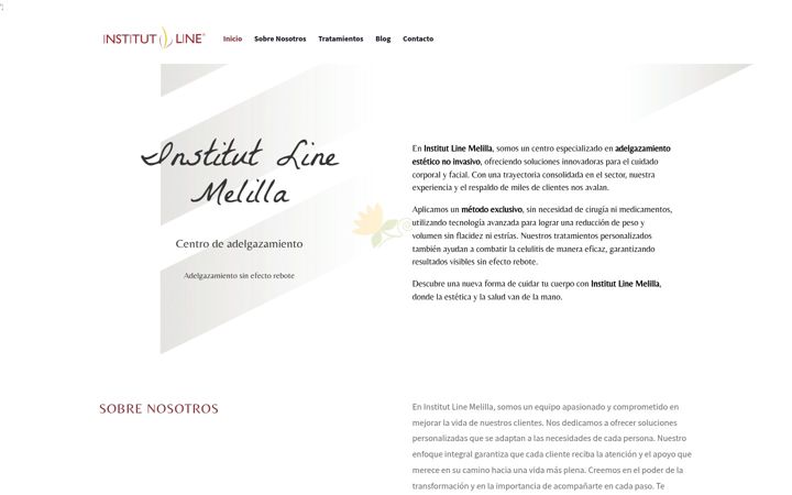 Screenshot of institutlinemelilla.com