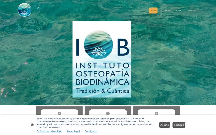 Screenshot of instituto-osteopatia-biodinamica.com