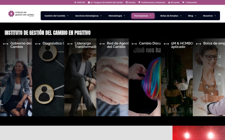 Screenshot of institutodegestiondelcambio.com