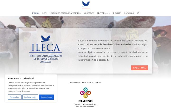 Screenshot of institutoleca.org