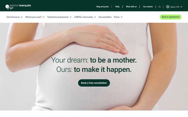 Screenshot of institutomarques.com