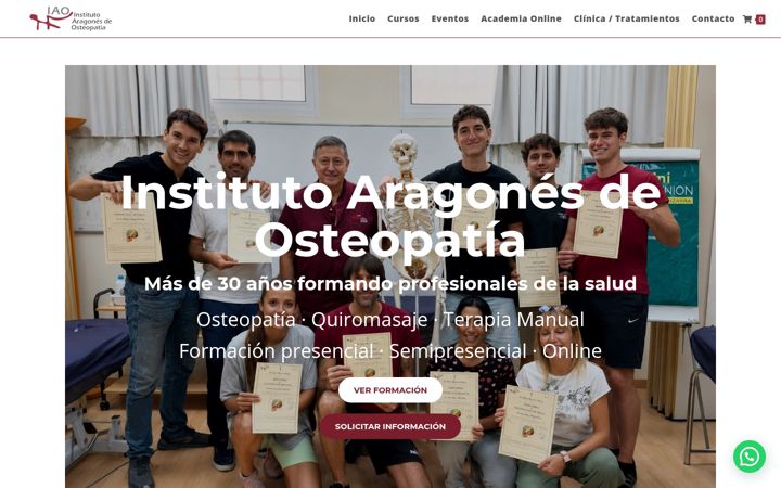Screenshot of institutosteopatia.com