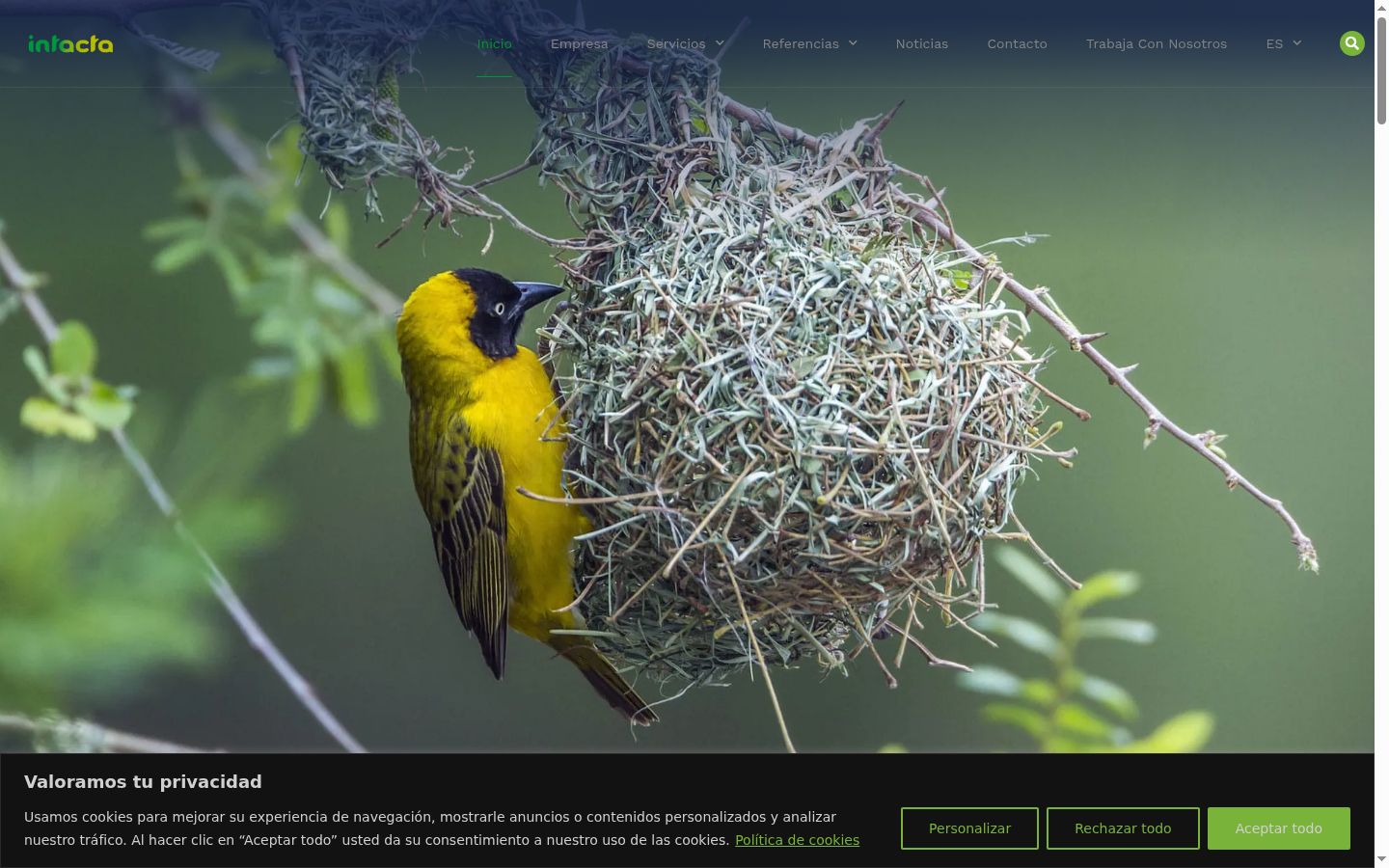 Screenshot of the consent banner shown before any interaction
