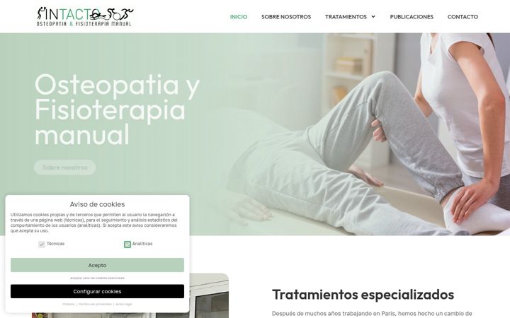 Screenshot of intactofisio.com
