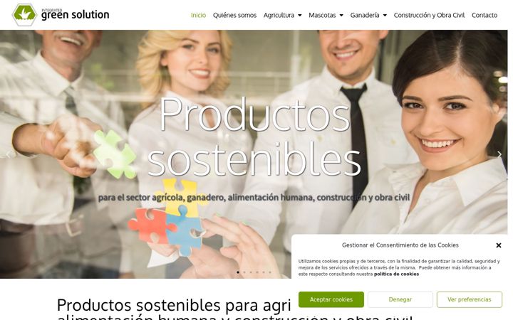 Screenshot of integratedgreensolution.com