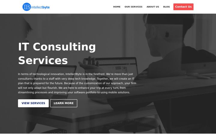 Screenshot of intellectbyte.com