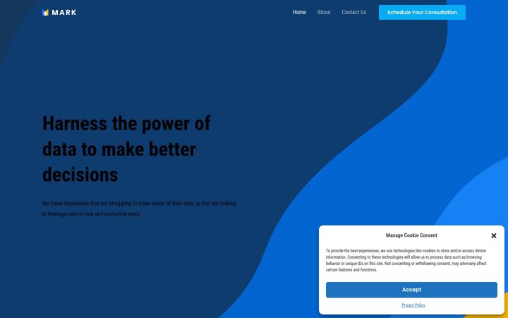 Screenshot of intellectdatasolutions.com