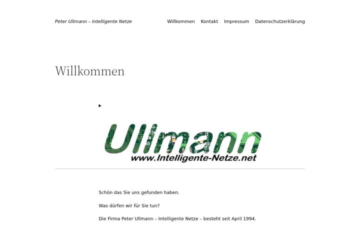 Screenshot of intelligente-netze.net