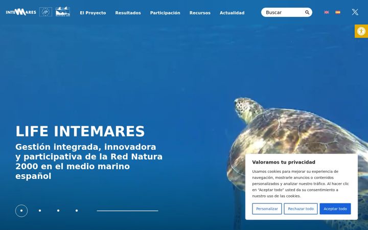 Screenshot of intemares.es