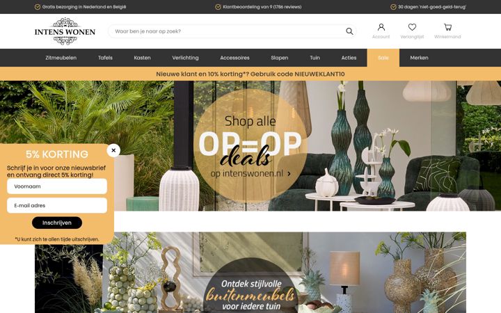 Screenshot of intenswonen.nl