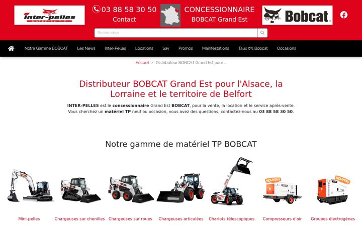 Screenshot of inter-pelles.com