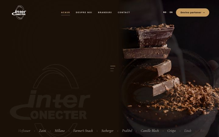 Screenshot of interconecter.ro