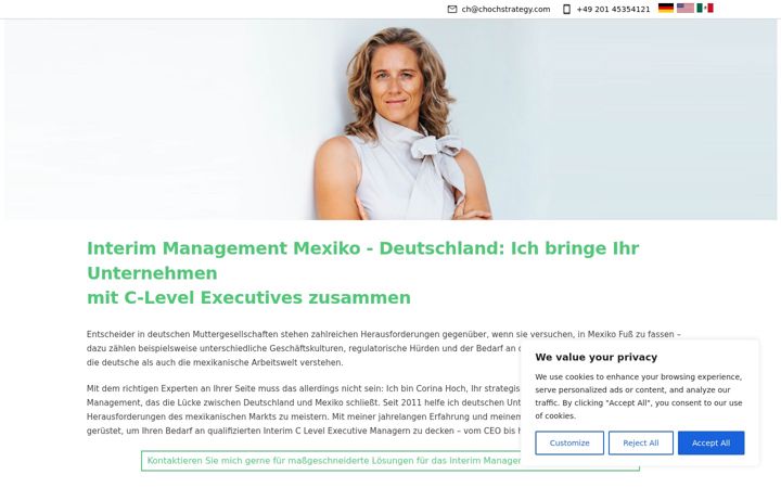 Screenshot of interim-management-mexico.com