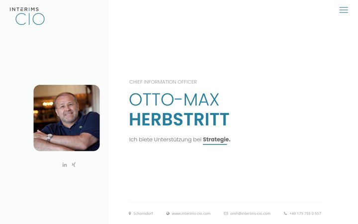 Screenshot of interims-cio.com