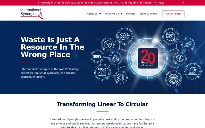 Screenshot of international-synergies.com