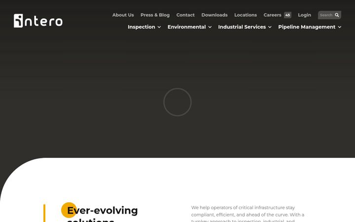 Screenshot of intero-integrity.com