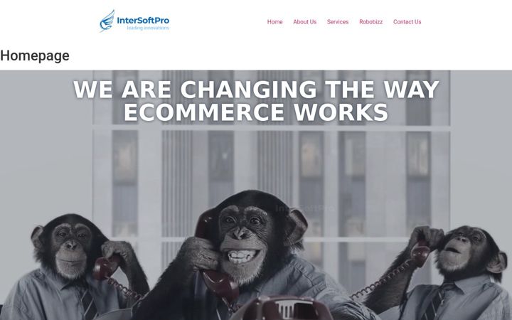Screenshot of intersoftpro.com