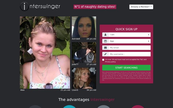 Screenshot of interswinger.com
