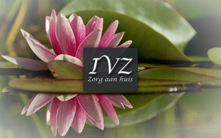 Screenshot of intervitalzorg.nl