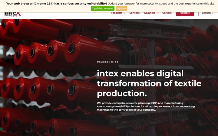 Screenshot of intex-consulting.com