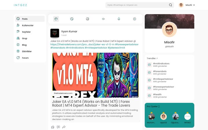 Screenshot of intgez.com