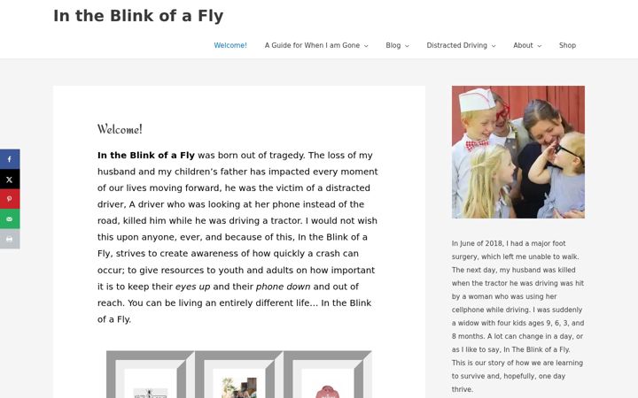 Screenshot of intheblinkofafly.com